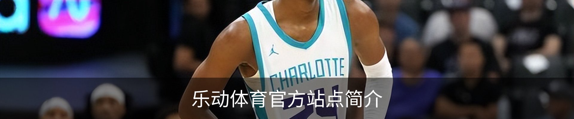 乐动体育官方站点简介